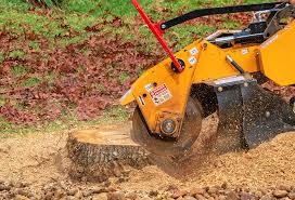 Best Commercial Tree Services  in Sa Loma, CA
